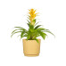 scheurich Blumentopf Plano Matt Yellow, 25 cm