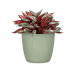scheurich Blumentopf Aura Jade, 24 cm
