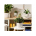 scheurich Blumentopf Breeze Bone White, 21 cm scheurich Blumentopf Breeze Bone White, 21 cm