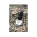 Incirca Kuhglocke Cowbell mit Edelweiss Incirca Kuhglocke Cowbell mit Edelweiss