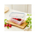 Rotho Set Frischhaltedosen 4 tlg. CLIC & LOCK 3.5 l, Transparent