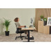 Fellowes Workplace Vertikalmaus Breyta Plus+ Linkshänder, Gross, Schwarz