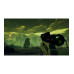 CentreSoft Starship Troopers: Ultimate Bugwar (Game-Key Card)