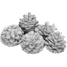COCON Streudeko Schwarzkieferzapfen, Weiss, 500g COCON Streudeko Schwarzkieferzapfen, Weiss, 500g