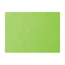 Duni Tischset 500 Stück 30 cm x 40 cm, Grün Duni Tischset 500 Stück 30 cm x 40 cm, Grün