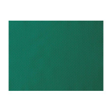 Duni Tischset 500 Stück 30 cm x 40 cm, Grasgrün Duni Tischset 500 Stück 30 cm x 40 cm, Grasgrün