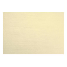 Duni Tischset Uni 75 Stück, 30 cm x 40 cm, Cream Duni Tischset Uni 75 Stück, 30 cm x 40 cm, Cream