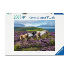 Ravensburger Puzzle Wildpferde in der Heide 2000 Teile 98 x 75 cm Ravensburger Puzzle Wildpferde in der Heide 2000 Teile 98 x 75 cm