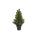 Botanic-Haus Weihnachtsbaum Tannenbaum im Topf, 41 cm