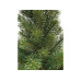 Botanic-Haus Weihnachtsbaum Tannenbaum im Topf, 41 cm