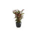 Ecopots Pflanzentopf Oslo 45 Dunkelgrau