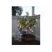 Star Trading Lichterkette Globini 475 cm, Transparent