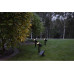 Star Trading Gartenlicht Solar-Spotlight Powerspot, Schwarz