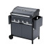 Campingaz Gasgrill Select 4 L Plus Campingaz Gasgrill Select 4 L Plus