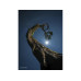 Sony Zoomobjektiv FE 20–70mm F/4 G Sony E-Mount