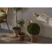Star Trading Gartenlicht Solar Oxida, 51 cm, Rost