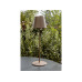 STT Tischleuchte Motion USB Luna, 23 LEDs, Ø 12 x 38 cm, Bronze