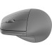HP Maus 920 Ergo HP Maus 920 Ergo