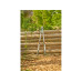 GARDENA Gartenschere TeleCut Basic