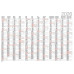 Biella Kalender Jahres-Wandplaner 98 x 68 cm
