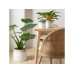 scheurich Blumentopf Blanco 717, 14.9 cm, Weiss