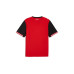 PUMA Jersey ÖFB Home Replica Rot, XL