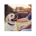 Tradidog Boost Futtertopping Tradidog Boost Futtertopping