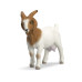 Schleich Spielzeugfigur Burenziege