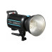 Godox Blitzgerät QS600II Godox Blitzgerät QS600II