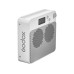 Godox Dauerlicht ML100BI Kit1 Godox Dauerlicht ML100BI Kit1