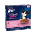 Felix Trockenfutter Doppelt Lecker Junior Geflügel 800 g