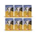 KITTY Cat Nassfutter KittyCat Filét Paté Pouch Huhn, Ente 6 x 85 g