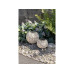 STT Laterne Antic Globe Blossom Weiss, 22 cm STT Laterne Antic Globe Blossom Weiss, 22 cm
