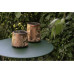 STT Laterne Antic Mini Jungle Bronze, 22 cm