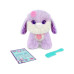 moose Scruff-A-Luvs Assortiert moose Scruff-A-Luvs Assortiert