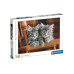 Clementoni Puzzle Katzen Clementoni Puzzle Katzen