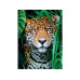 Clementoni Puzzle Jaguar im Dschungel