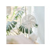 Ecofort Standventilator ecoQ SilentAir Due+ Weiss