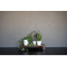 Pottery Pots Pflanzentopf Inez S, Vanilla White
