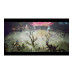 Square Enix The Adventures of Elliot: The Millennium Tales (Box)
