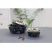 Kerbl Edelstahlnapf mit Motiv 900 ml, Schwarz