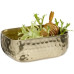 APS Schale Craft 12 x 9.5 x 5 cm, Gold