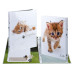 HERMA Ringbuch Zeugnis A4 Katzen 1 Stück