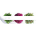 Click and Grow Indoor-Garten MicroBuddy, Weiss 38 cm