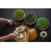 Plastia Urbalive Keimsprosskit für Microgreens Elfenbein Plastia Urbalive Keimsprosskit für Microgreens Elfenbein
