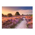 Ravensburger Puzzle Traumpfad in Rosa 1000 Teile Ravensburger Puzzle Traumpfad in Rosa 1000 Teile