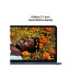Apple 13 MacBook Neo (A18) 5C GPU /256 GB / 8 GB Indigo