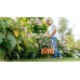Bosch Akku-Rasentrimmer EasyGrassCut 18V-260 Kit