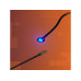 Light My Bricks 2.0 Astro Wechsel LED Rot zu Blau 30 cm Flachkabel