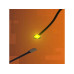 Light My Bricks 2.0 Astro LED Gross Gelb mit 30 cm Flachkabel 4er Pack Light My Bricks 2.0 Astro LED Gross Gelb mit 30 cm Flachkabel 4er Pack